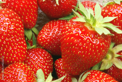 Photo: Erdbeeren Erdbeeren