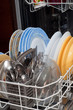 dishwash