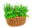 Herbs