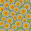 Vector: Vector seamless background: camomiles Vector seamless background: camomiles