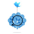 BIRD WITH WORD BUBBLE
