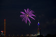 Feuerwerk Japanfest 2012