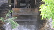 Wassermühle am Rheinfall