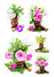 Large herb leaf selection in abstract design