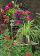 ambiance florale champêtre