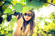 Grapes in a vineyard being checked by a female vintner 
