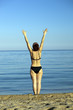 harmonous girl costs at the sea, having lifted hands up