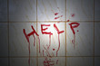 Help bloody inscription in the bathroom