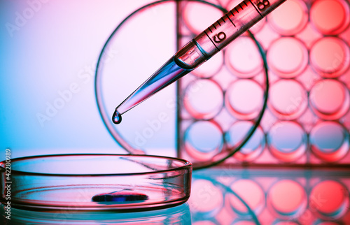Photo: Pipette and Petri dish Pipette and Petri dish