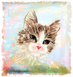 hand drawn portrait of the fluffy cat
