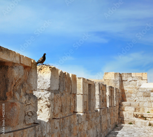 Foto: For the Birds Wall - a place of rest For the Birds Wall - a place of rest