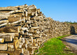 Foto: Log deck Log deck