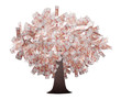 money tree