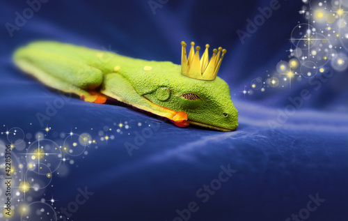 Foto: Sleeping Frog Sleeping Frog
