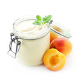 Apricot Yogurt
