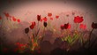 Video: Tulips on spring meadow Tulips on spring meadow