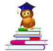 Illustration: owl in hat sits on pile of the books owl in hat sits on pile of the books