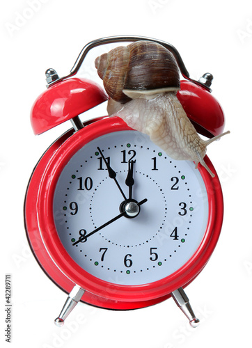 Foto: red alarm-bell with snail red alarm-bell with snail