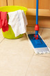 House cleaning with the mop