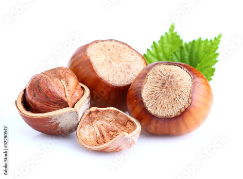 Foto: Hazelnuts with leaves Hazelnuts with leaves