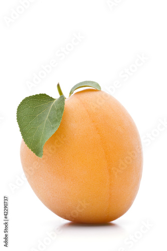 Foto: Aprikose Aprikose