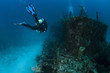 Woman scubadiving
