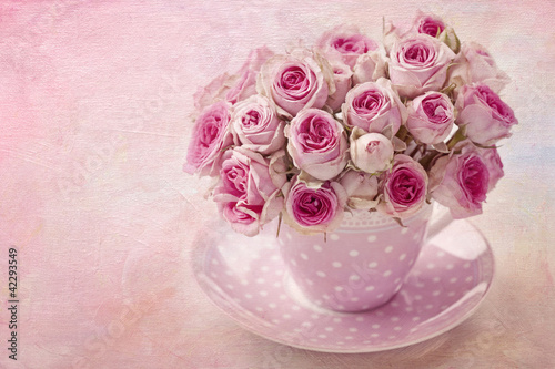 Foto: Pink vintage rose Pink vintage rose