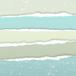 Torn grunge  paper