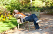 Foto: Beautiful young woman enjoying warm autumn or spring day Beautiful young woman enjoying warm autumn or spring day