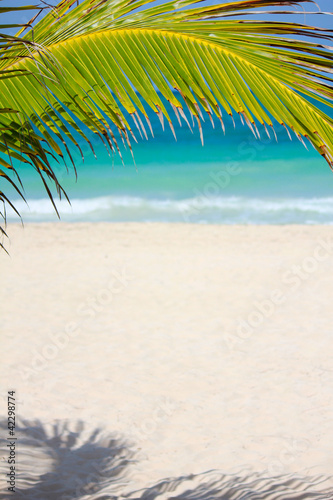 Photo: Koh Samui Beach in Thailand Koh Samui Beach in Thailand