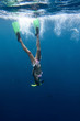 Young woman diving