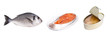 pescados y conservas