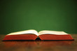 Holy Bible