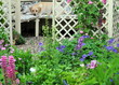 pretty garden