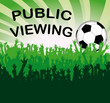 Public Viewing