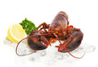 Foto: Red Lobster Red Lobster
