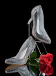 Photo: women's shoes inlaid with crystals women's shoes inlaid with crystals