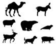 Plaquette d'animaux en ombres noires