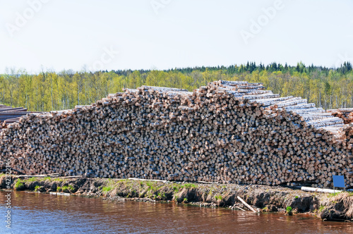 Photo: Pile of Graded and Numbered Debarked Logs Pile of Graded and Numbered Debarked Logs