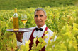 Wine waiter in the middle of vineyards