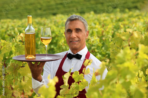 Foto: Wine waiter in the middle of vineyards Wine waiter in the middle of vineyards