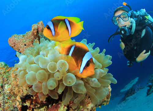 Foto: Clownfish and Scuba Diver Clownfish and Scuba Diver