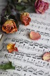 notenbuch mit rosen