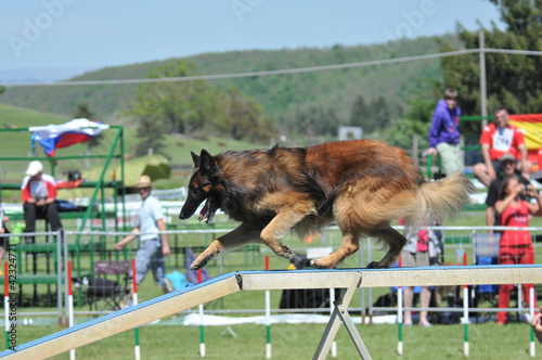 Foto: Agility Agility