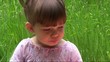 Video: dziewczynka na pikniku dziewczynka na pikniku