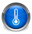 Thermometer icon