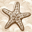 Sea star