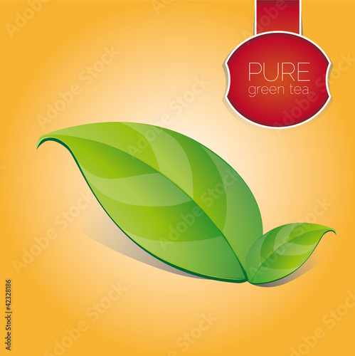 Vector: Green tea leaf - pure Green tea leaf - pure