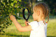 Little girl examining tree leaves through magnifying glass