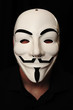 member of the international hacker group Anonymous